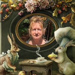 Meet your Posher, Donna